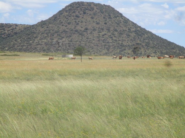 1 Bedroom Property for Sale in Bloemfontein Rural Free State